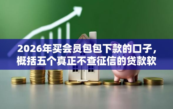 2026年买会员包包下款的口子，概括五个真正不查征信的贷款软件