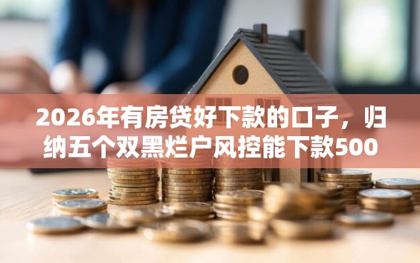 2026年有房贷好下款的口子，归纳五个双黑烂户风控能下款5000口子