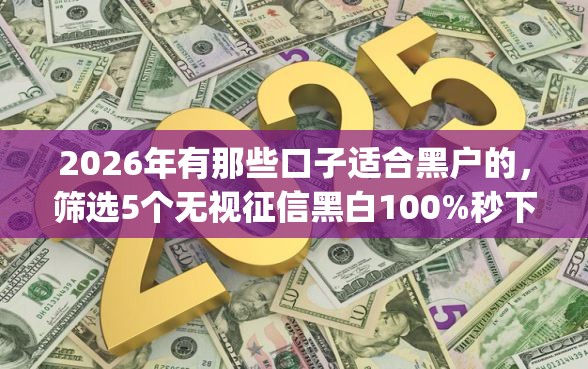 2026年有那些口子适合黑户的，筛选5个无视征信黑白100%秒下网贷app