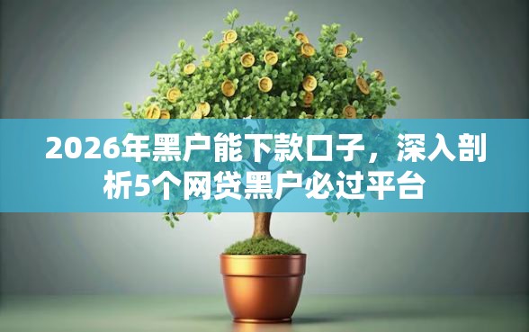 2026年黑户能下款口子,深入剖析5个网贷黑户必过平台 2026年黑户能下款口子,深入剖析5个网贷黑户必过平台