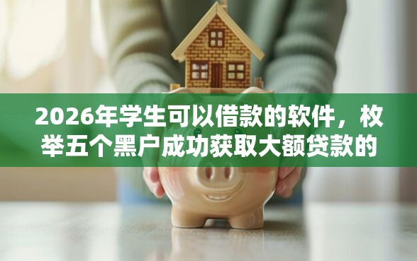 2026年学生可以借款的软件，枚举五个黑户成功获取大额贷款的软件