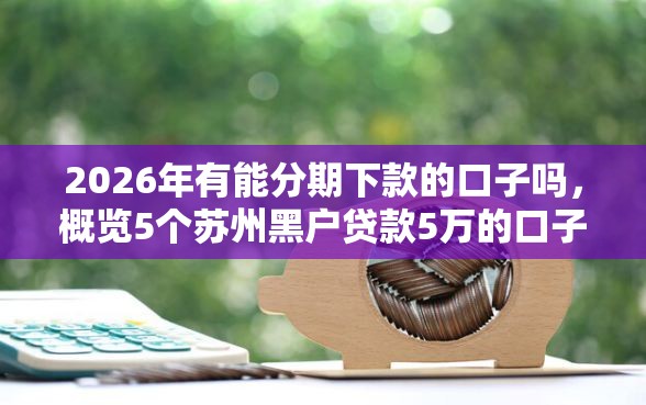 2026年有能分期下款的口子吗，概览5个苏州黑户贷款5万的口子