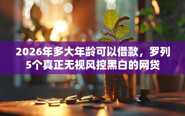2026年多大年龄可以借款，罗列5个真正无视风控黑白的网贷