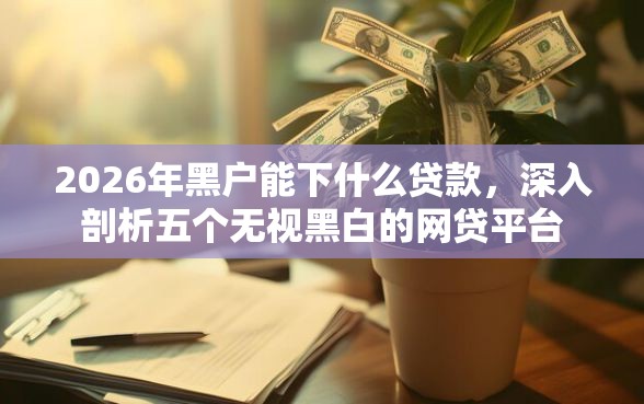2026年黑户能下什么贷款，深入剖析五个无视黑白的网贷平台