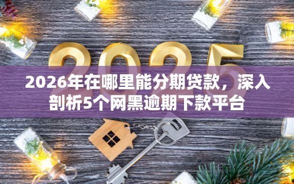 2026年在哪里能分期贷款，深入剖析5个网黑逾期下款平台