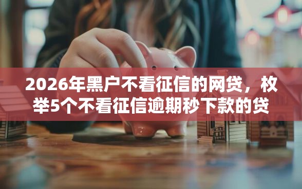 2026年黑户不看征信的网贷，枚举5个不看征信逾期秒下款的贷款
