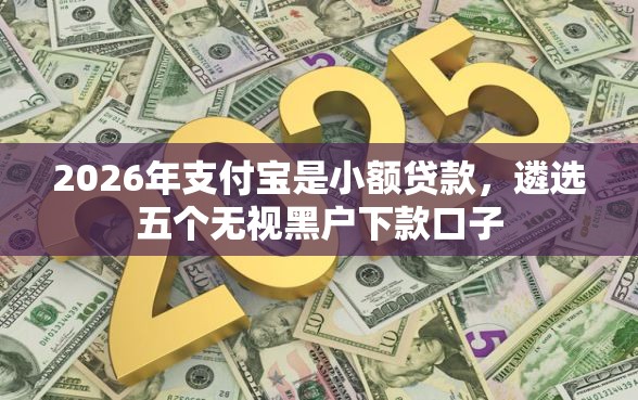 2026年支付宝是小额贷款，遴选五个无视黑户下款口子
