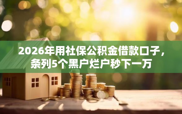 2026年用社保公积金借款口子，条列5个黑户烂户秒下一万