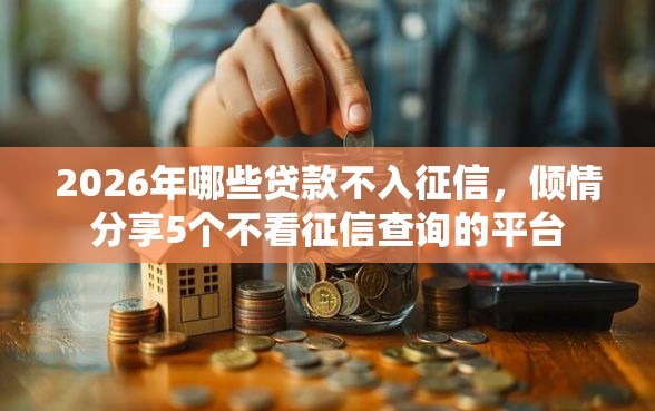 2026年哪些贷款不入征信，倾情分享5个不看征信查询的平台