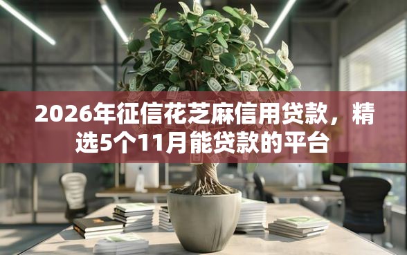 2026年征信花芝麻信用贷款，精选5个11月能贷款的平台