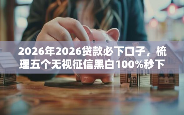 2026年2026贷款必下口子,梳理五个无视征信黑白100%秒下口子 2026年2026贷款必下口子,梳理五个无视征信黑白100%秒下口子