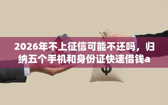 2026年不上征信可能不还吗，归纳五个手机和身份证快速借钱app