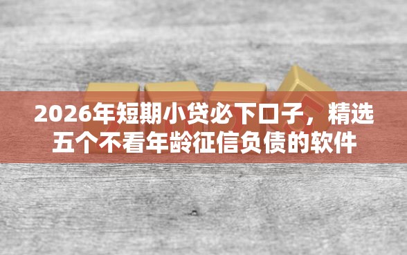 2026年短期小贷必下口子，精选五个不看年龄征信负债的软件