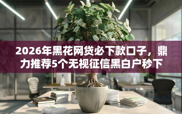 2026年黑花网贷必下款口子，鼎力推荐5个无视征信黑白户秒下款的贷款