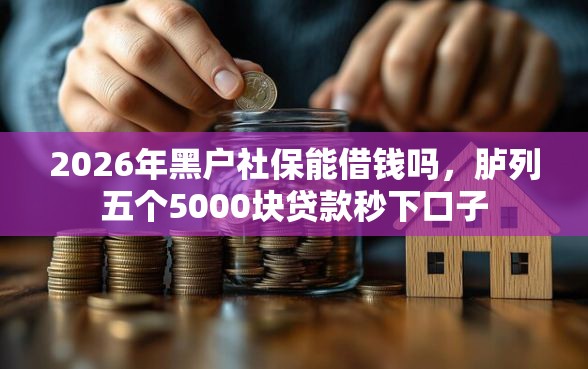 2026年黑户社保能借钱吗，胪列五个5000块贷款秒下口子