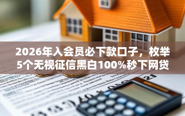 2026年入会员必下款口子，枚举5个无视征信黑白100%秒下网贷平台