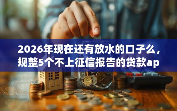2026年现在还有放水的口子么，规整5个不上征信报告的贷款app