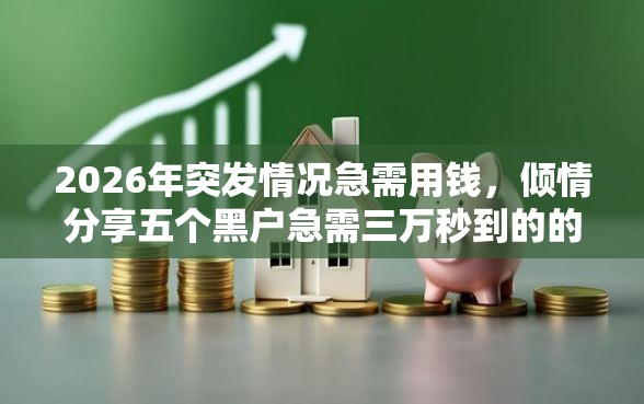2026年突发情况急需用钱，倾情分享五个黑户急需三万秒到的的软件