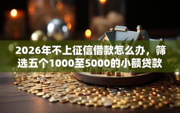 2026年不上征信借款怎么办,筛选五个1000至5000的小额贷款软件 2026年不上征信借款怎么办,筛选五个1000至5000的小额贷款软件