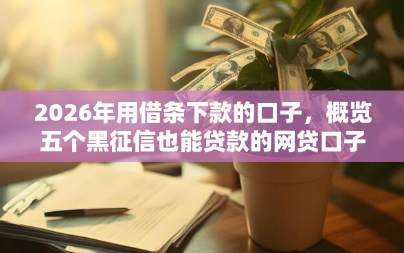 2026年用借条下款的口子，概览五个黑征信也能贷款的网贷口子