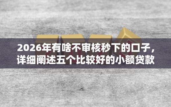2026年有啥不审核秒下的口子，详细阐述五个比较好的小额贷款口子