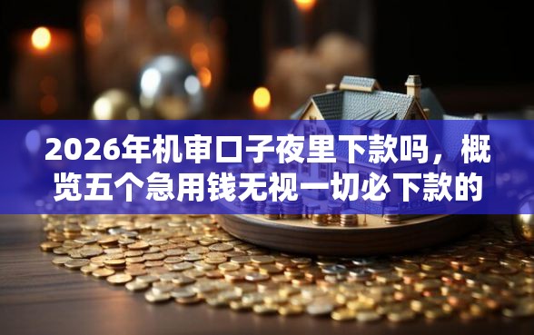 2026年机审口子夜里下款吗，概览五个急用钱无视一切必下款的口子