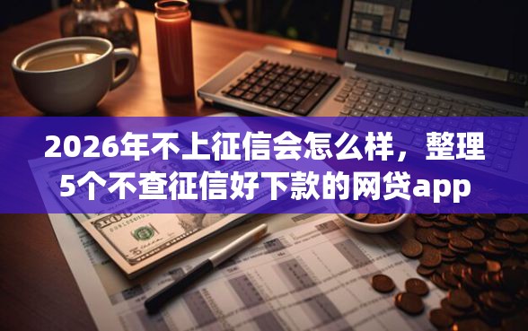 2026年不上征信会怎么样，整理5个不查征信好下款的网贷app