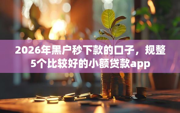 2026年黑户秒下款的口子，规整5个比较好的小额贷款app