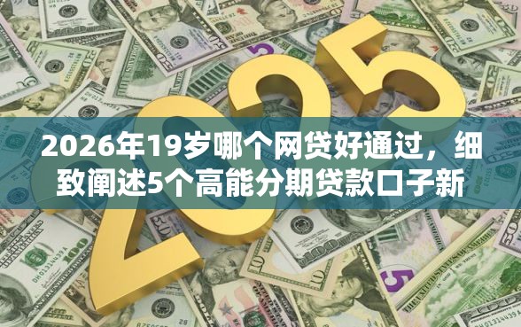 2026年19岁哪个网贷好通过，细致阐述5个高能分期贷款口子新秀