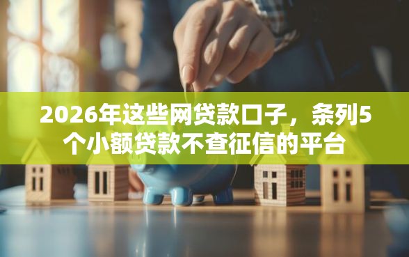 2026年这些网贷款口子，条列5个小额贷款不查征信的平台