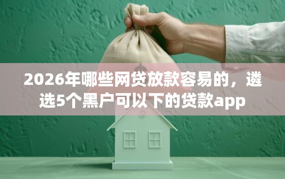 2026年哪些网贷放款容易的，遴选5个黑户可以下的贷款app