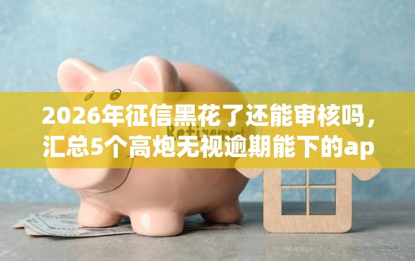 2026年征信黑花了还能审核吗，汇总5个高炮无视逾期能下的app