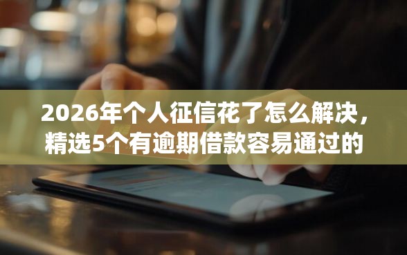 2026年个人征信花了怎么解决，精选5个有逾期借款容易通过的app