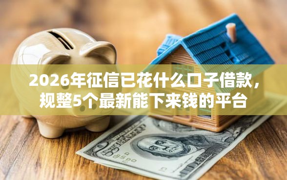 2026年征信已花什么口子借款，规整5个最新能下来钱的平台