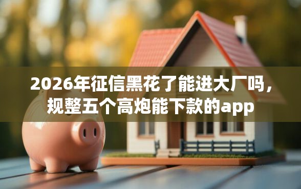 2026年征信黑花了能进大厂吗，规整五个高炮能下款的app