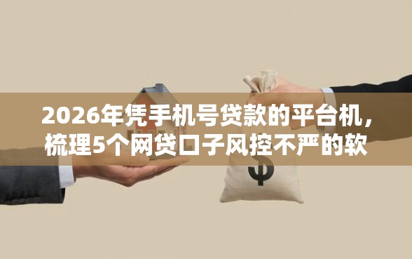 2026年凭手机号贷款的平台机，梳理5个网贷口子风控不严的软件