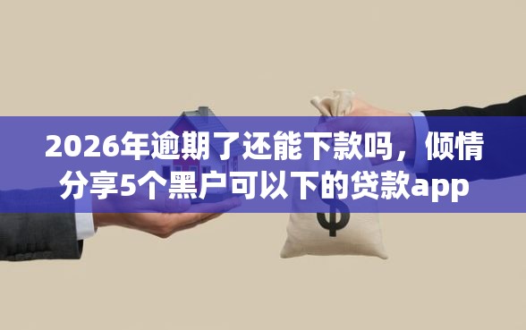 2026年逾期了还能下款吗，倾情分享5个黑户可以下的贷款app