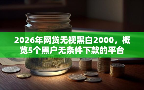 2026年网贷无视黑白2000，概览5个黑户无条件下款的平台