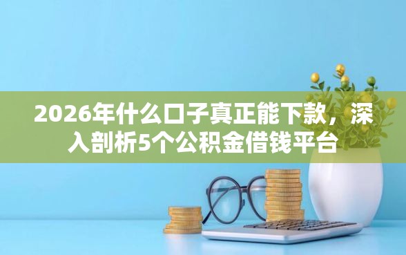 2026年什么口子真正能下款，深入剖析5个公积金借钱平台