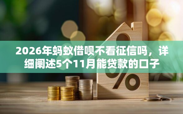 2026年蚂蚁借呗不看征信吗，详细阐述5个11月能贷款的口子