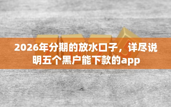 2026年分期的放水口子，详尽说明五个黑户能下款的app
