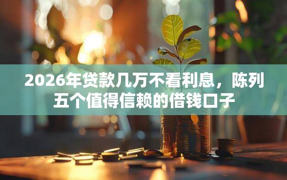 2026年贷款几万不看利息，陈列五个值得信赖的借钱口子