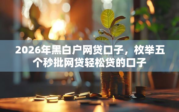 2026年黑白户网贷口子，枚举五个秒批网贷轻松贷的口子