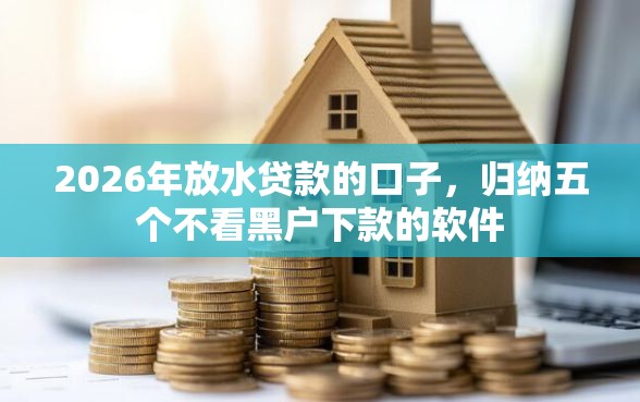 2026年放水贷款的口子，归纳五个不看黑户下款的软件