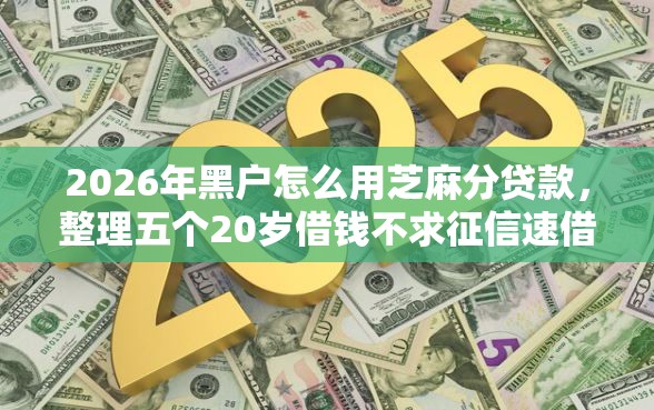 2026年黑户怎么用芝麻分贷款，整理五个20岁借钱不求征信速借口子