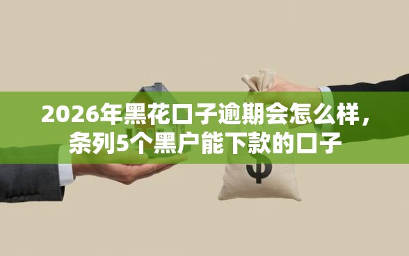 2026年黑花口子逾期会怎么样，条列5个黑户能下款的口子