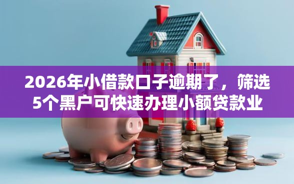 2026年小借款口子逾期了，筛选5个黑户可快速办理小额贷款业务的软件
