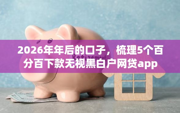 2026年年后的口子，梳理5个百分百下款无视黑白户网贷app