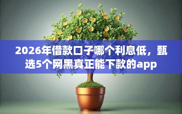 2026年借款口子哪个利息低，甄选5个网黑真正能下款的app