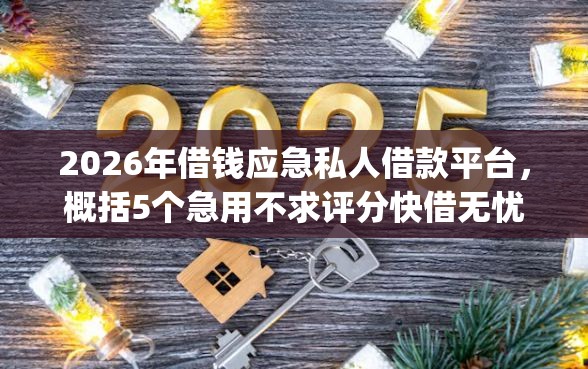 2026年借钱应急私人借款平台，概括5个急用不求评分快借无忧的app